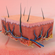 Illustration for article titled The Best Skin Stuff (According to Me, a Non-Dermatologist)